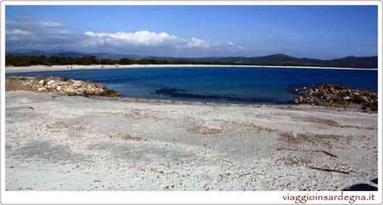 The Animal Friendly Beach In Satn'tanna Arresi