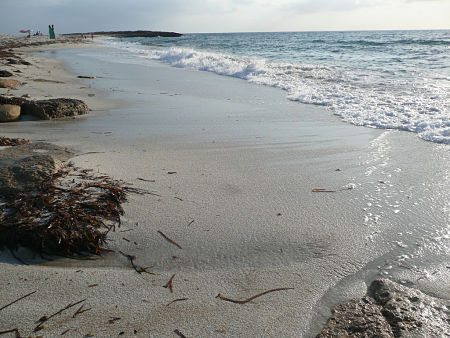 Is Arutas Beach Cabras Oristano