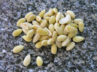 blanched almonds