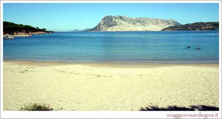  Cala Suaraccia beach in olbia italy