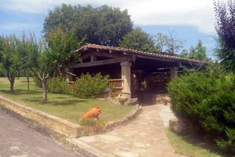 view of the covered barbeque