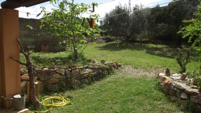 View of the back garden