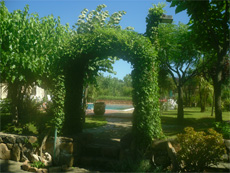 the gardens at the villa