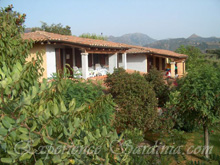 sardinia accommodation at the villa melissa in cardedu