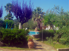 garden surrounding the swimming pool at the villa