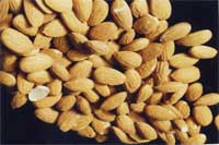 raw almonds with the skins on