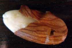 blanched almonds