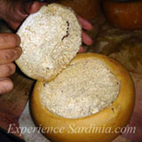 sardinian maggot cheese casu marzu