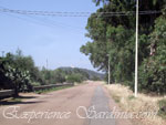 the road the leads to the cardedu beaches from monte ferro