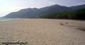 Italian Beach
Museddu Beach - Marina Di Cardedu