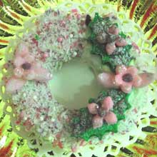 pink and green wreath cookie
