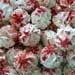 red meringue cookies