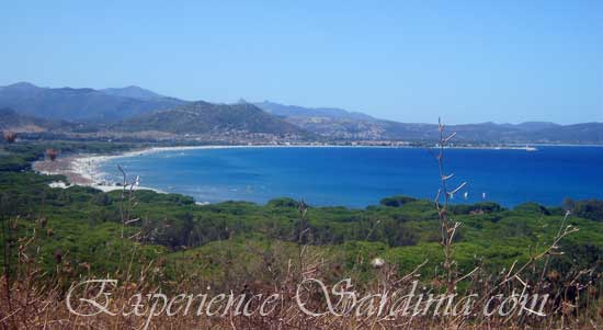 view of the sardinia italy beach near posada