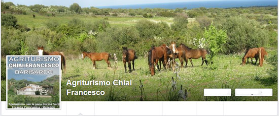 visiting the rural ogliastra barisardo on horseback