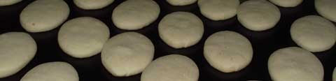 simple biscuit recipe