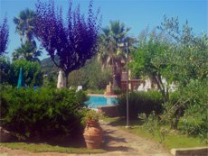 garden surrounding the swimming pool at the villa